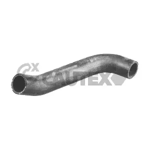 466029 CAUTEX