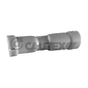 010095 CAUTEX
