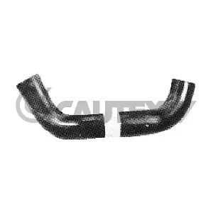 036100 CAUTEX