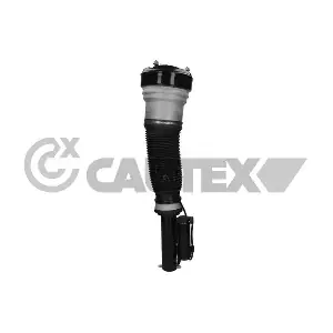 751966 CAUTEX