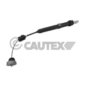 038451 CAUTEX