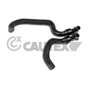 031283 CAUTEX