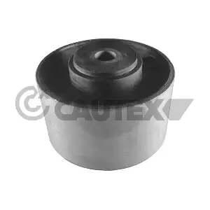 030212 CAUTEX