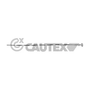 031288 CAUTEX