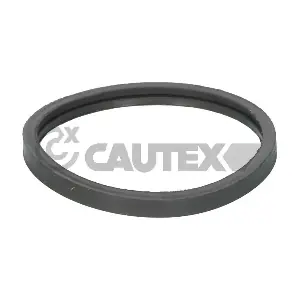 955241 CAUTEX