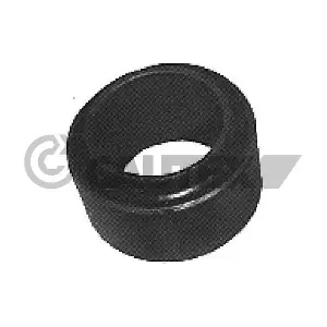 020393 CAUTEX