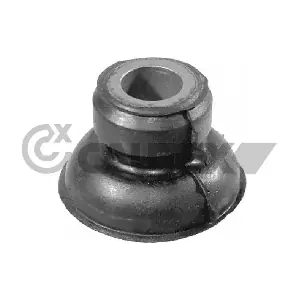 021337 CAUTEX
