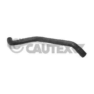753482 CAUTEX