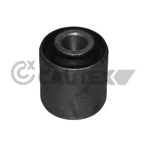 030102 CAUTEX