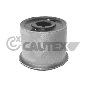 461279 CAUTEX