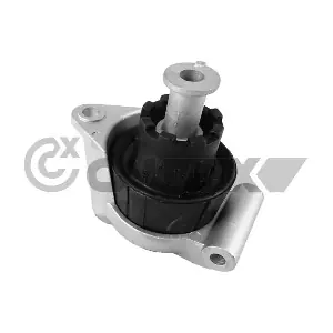 480502 CAUTEX