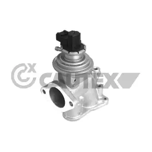 772086 CAUTEX