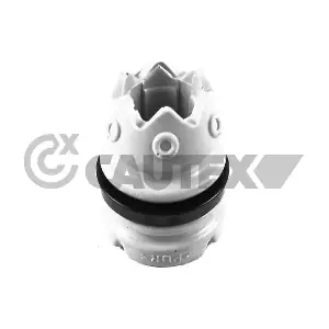 757024 CAUTEX