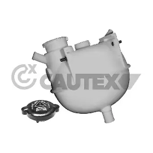 954187 CAUTEX