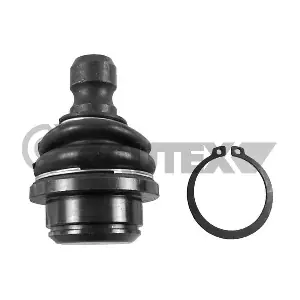 755079 CAUTEX