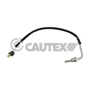 770256 CAUTEX