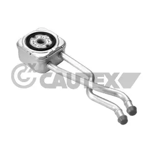 462527 CAUTEX