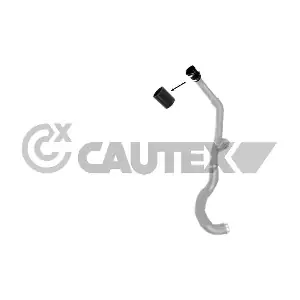 770351 CAUTEX