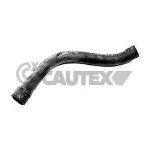 206016 CAUTEX