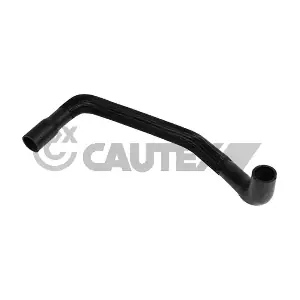 754081 CAUTEX