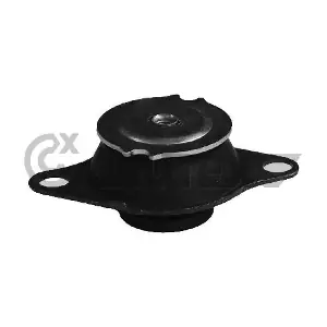 011062 CAUTEX