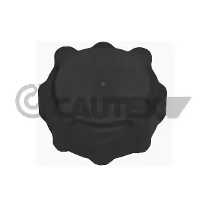 954110 CAUTEX