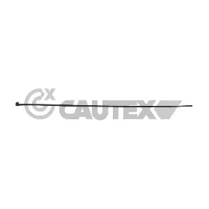 953005 CAUTEX