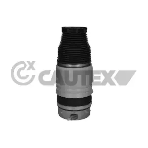 31400 CAUTEX