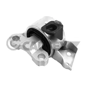 760588 CAUTEX
