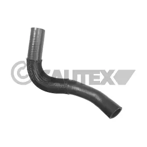 036768 CAUTEX