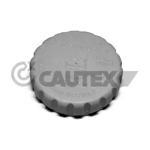 954093 CAUTEX