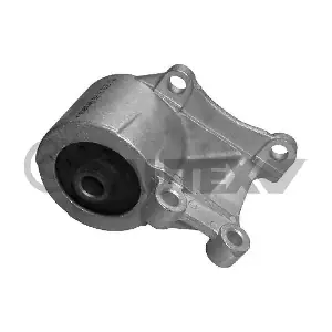 460160 CAUTEX