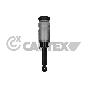 751948 CAUTEX