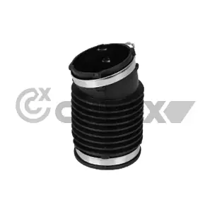 753066 CAUTEX