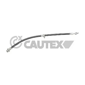 777969 CAUTEX