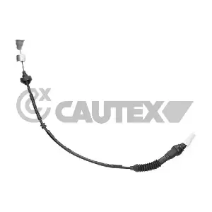 038450 CAUTEX