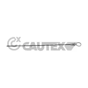 481168 CAUTEX
