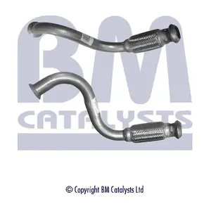 BM50216 BM CATALYSTS
