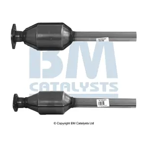 BM CATALYSTS BM91052H