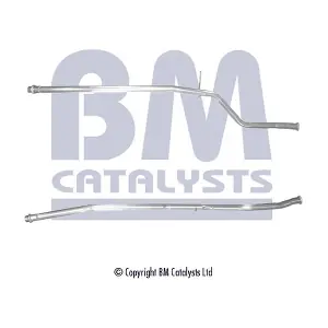 BM50017 BM CATALYSTS