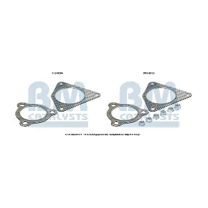 BM CATALYSTS FK91630