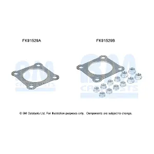 BM CATALYSTS FK91529