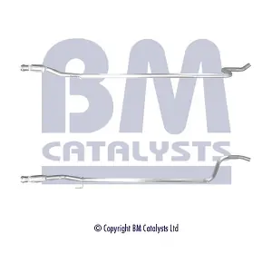 BM50481 BM CATALYSTS