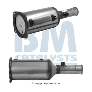BM11010 BM CATALYSTS