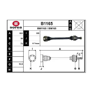 B1165 SNRA