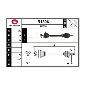 R1306 SNRA