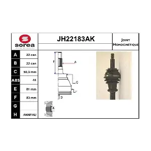 JH22183AK SNRA