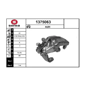 1375063 SNRA