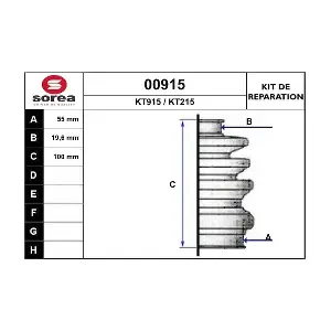 00915 SNRA