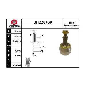 JH22073K SNRA
